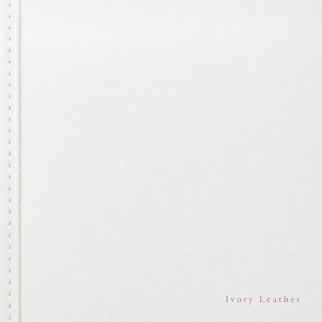 Samples | Leather