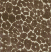 Fabric Samples – Performance Velvet & Upholstery Swatches Pattern | Taupe Leopard
