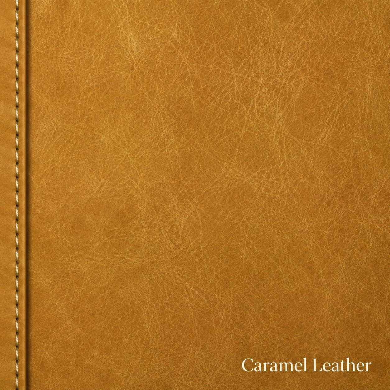 Samples | Leather