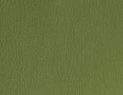 Solid green color swatch with a textured pattern